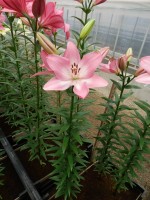 [5060 Albufeira No02.JPG]